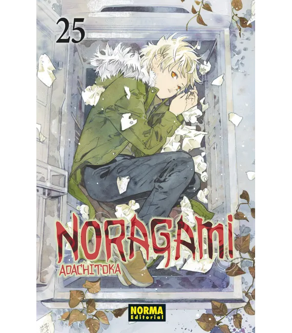 Noragami Nº 25 (de 27)