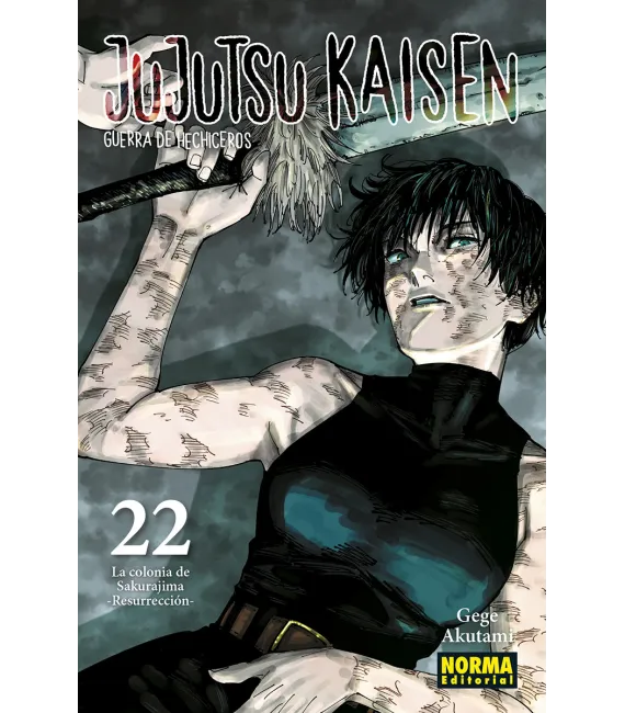 Jujutsu Kaisen Nº 22