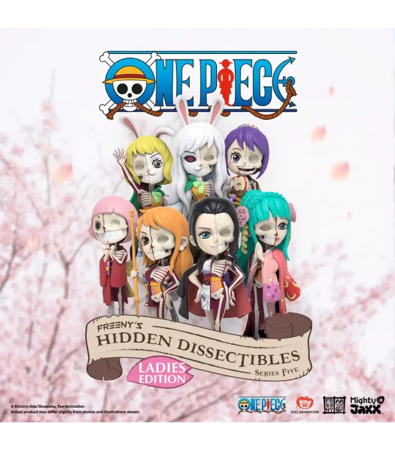 Figura Sorpresa Hidden Dissectibles One Piece: Ladies Edition