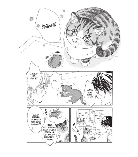 Plum, historias gatunas Nº 01