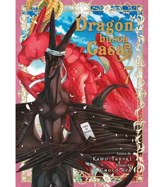 Dragón busca casa Nº 07 (de 10)