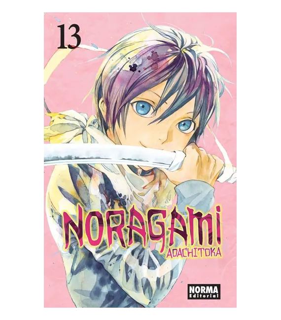 Noragami Nº 13 (de 27)