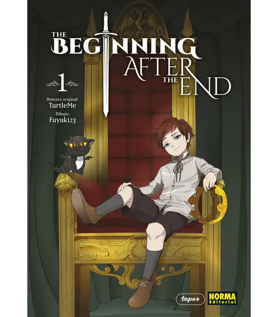 The Beginning After the End Nº 01