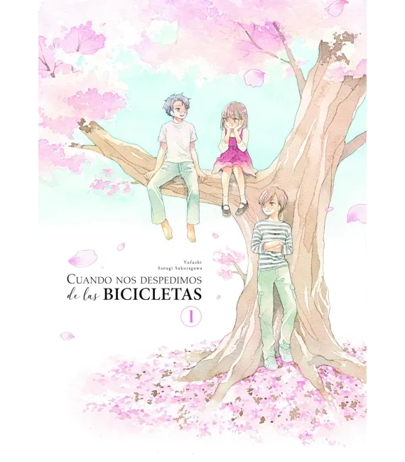 Cuando nos despedimos de las bicicletas Nº 1 (de 2)