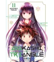Ayakashi Triangle Nº 11