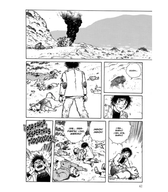 Flores de piedra Nº 1 (de 5)