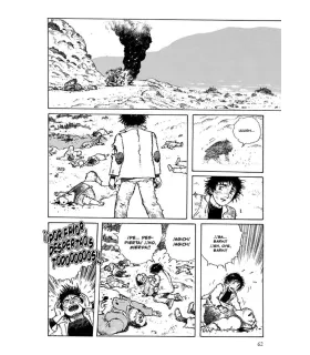 Flores de piedra Nº 1 (de 5)