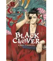 Black Clover Nº 35