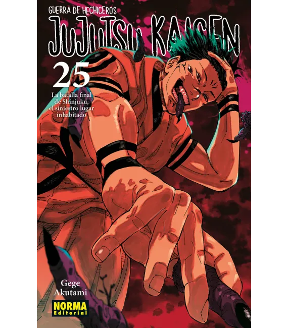 Jujutsu Kaisen Nº 25