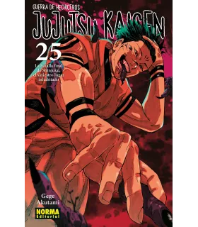 Jujutsu Kaisen Nº 25