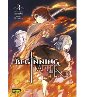 The Beginning After the End Nº 03