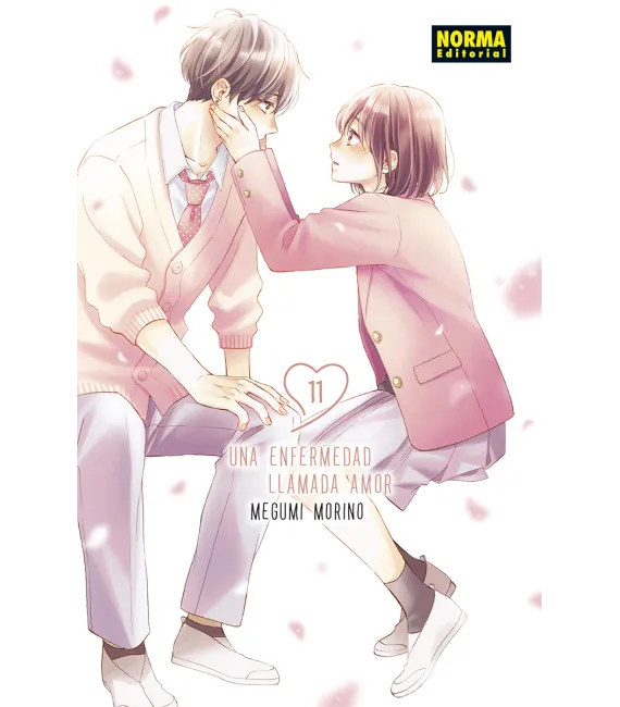 Una enfermedad llamada amor Nº 11