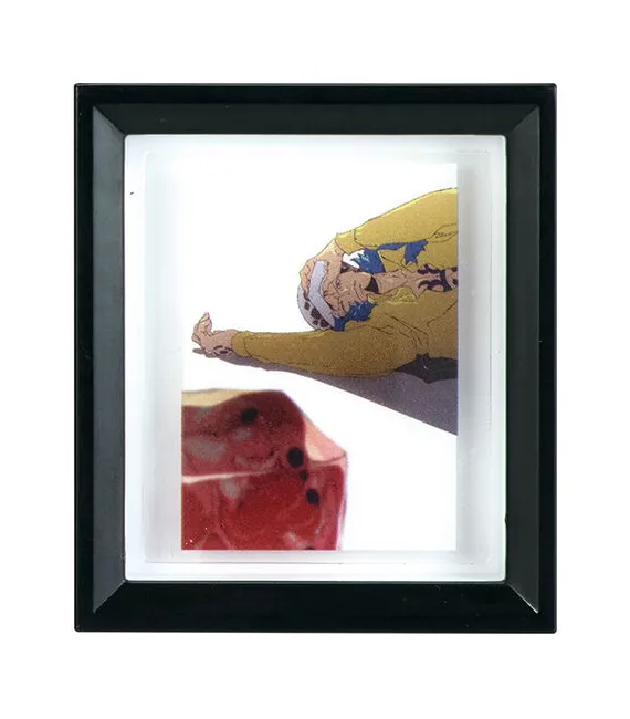 One Piece Gashapon Framed art collection 2