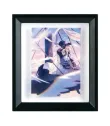 One Piece Gashapon Framed art collection 2