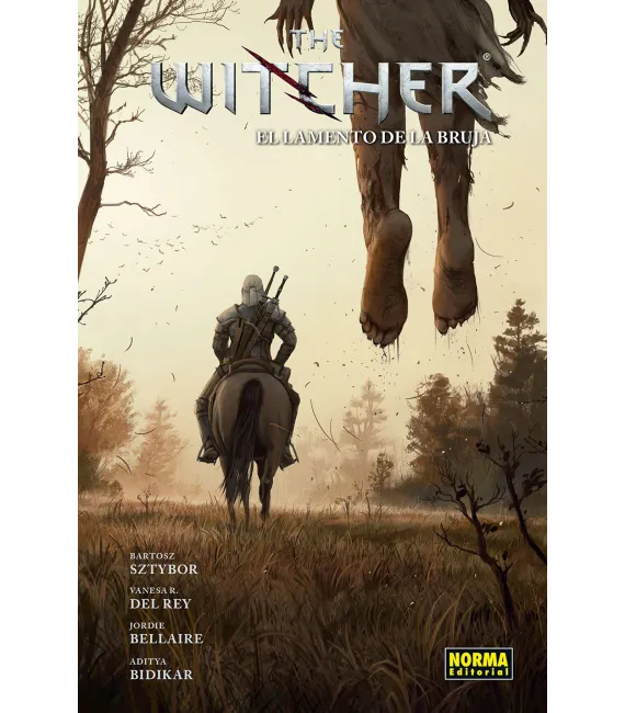 The Witcher Nº 06
