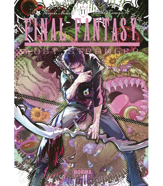 Final Fantasy: Lost Stranger Nº 11