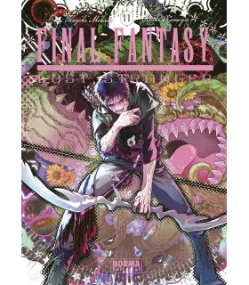 Final Fantasy: Lost Stranger Nº 11