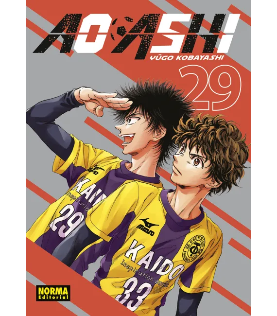 Ao Ashi Nº 29