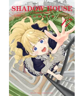 Shadow House Nº 17