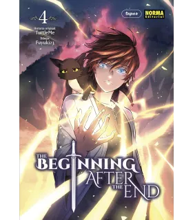 The Beginning After the End Nº 04