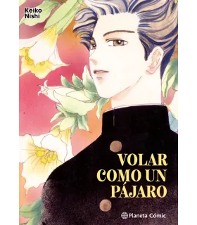 Volar como un pájaro