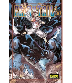 Fairy Tail Nº 30