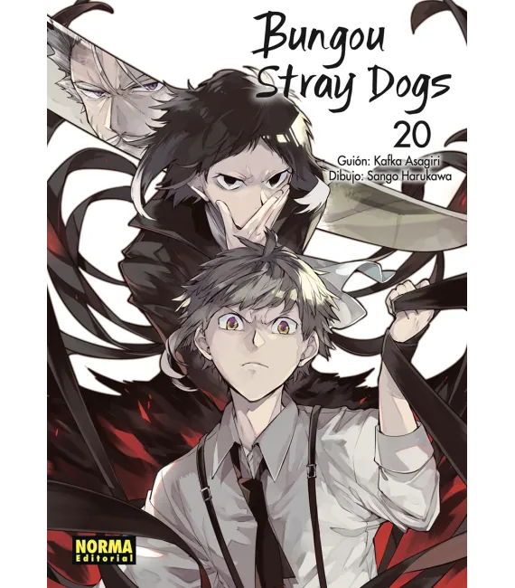Bungou Stray Dogs Nº 20
