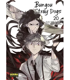Bungou Stray Dogs Nº 20
