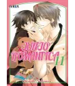 Junjo Romantica Nº 11