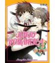 Junjo Romantica Nº 13
