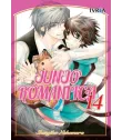 Junjo Romantica Nº 14