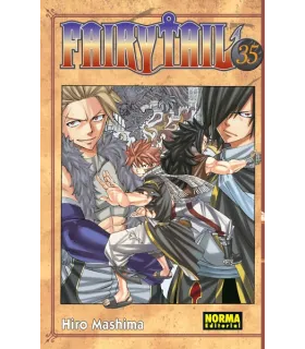 Fairy Tail Nº 35