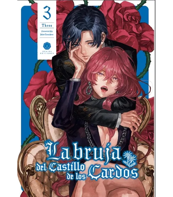 La bruja del castillo de los cardos Nº 3 (de 4)