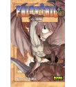Fairy Tail Nº 49