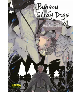 Bungou Stray Dogs Nº 21