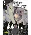 Bungou Stray Dogs Nº 21