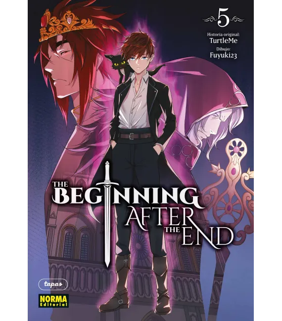 The Beginning After the End Nº 05