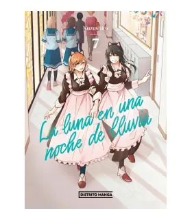 La luna en una noche de lluvia Nº 07