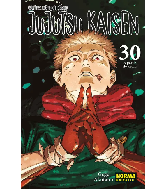 Jujutsu Kaisen Nº 30