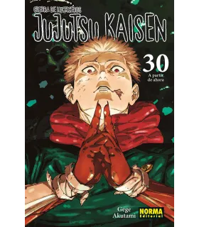 Jujutsu Kaisen Nº 30