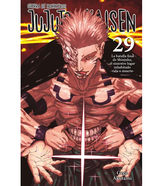 Jujutsu Kaisen Nº 29