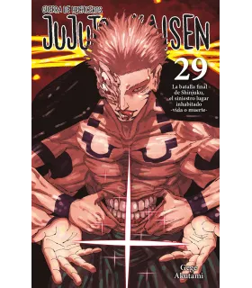 Jujutsu Kaisen Nº 29