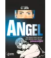 Angel Integral