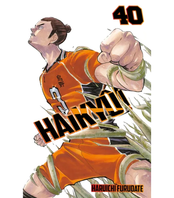 Haikyû!! Nº 40 (de 45)