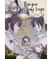 Bungou Stray Dogs Nº 22