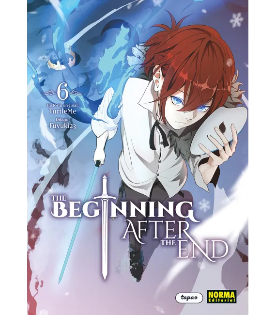 The Beginning After the End Nº 06