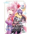 Ayakashi Triangle Nº 12 (de 16)