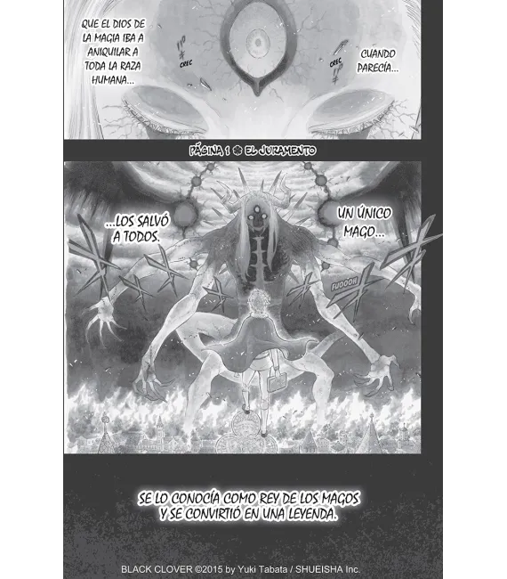 Black Clover Nº 01