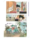 Dragon Ball Ultimate Nº 01 (de 34)