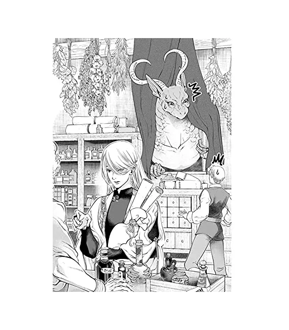 Dragón busca casa Nº 01 (de 10)